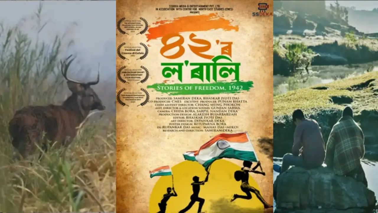 MIFF 2026 Northeast Films