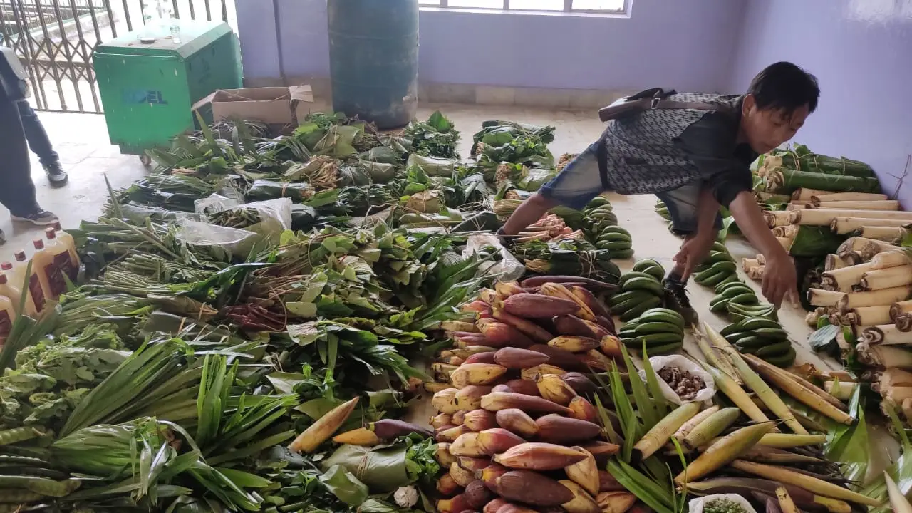 Study puts economic value on 47 forest products
